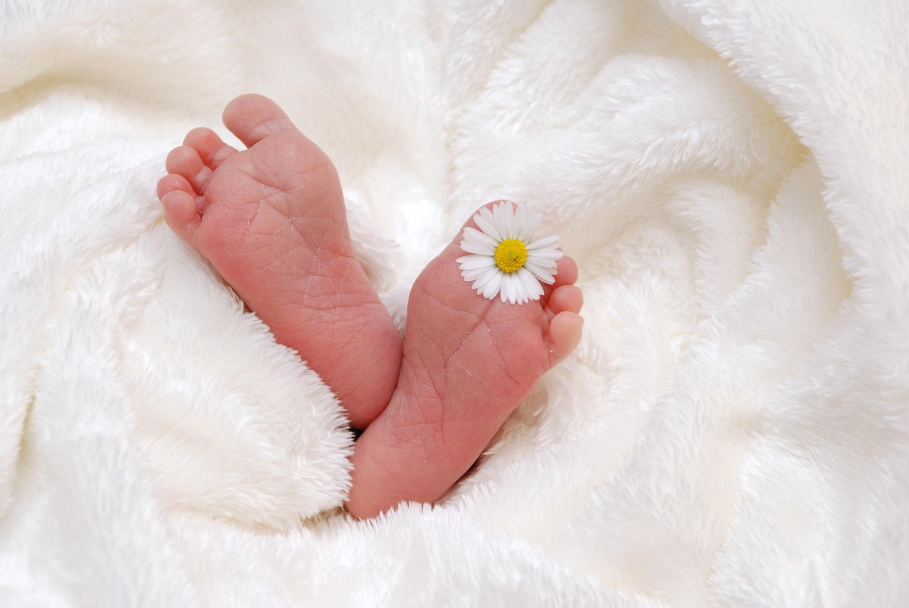Child Nationality in Korea for Foreign Parents: Planning Timeline, Budget and Vendors